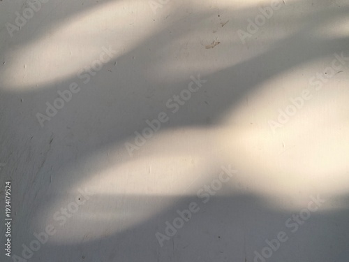 Abstract dark leaf shadow play on a clean white background.