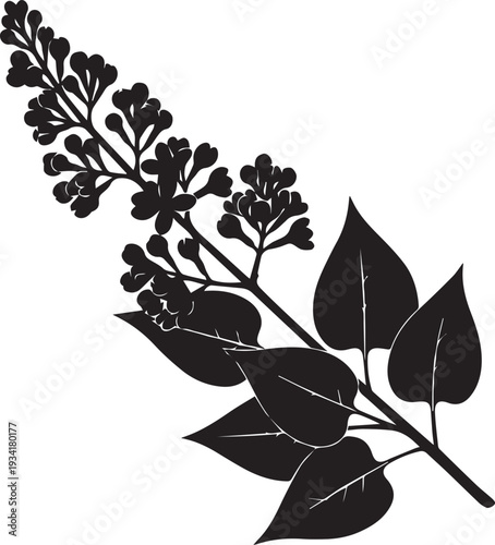 Lilac branch with leaves silhouette illustration vector, nature floral artwork
