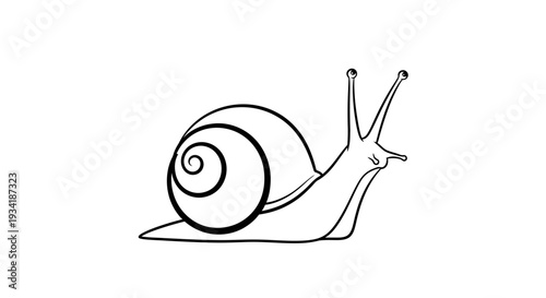 Simple Black and White Line Art Illustration of a Garden Snail, Minimalist Outline Drawing of a Mollusk with a Spiral Shell