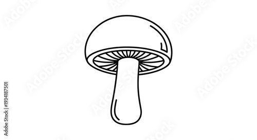 Simple black outline mushroom icon. Minimalist drawing of a forest fungus. Graphic vector illustration of a mushroom for nature designs.
