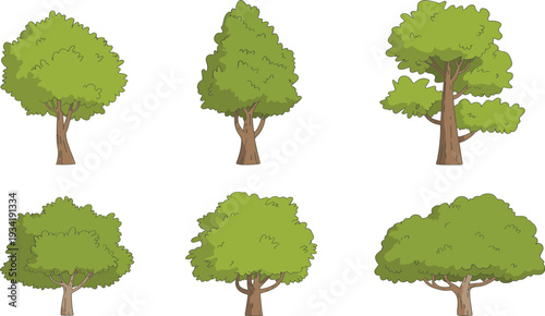 Green Deciduous and Coniferous Trees Collection for Nature Landscape and Environment Garden Design Concept Illustration