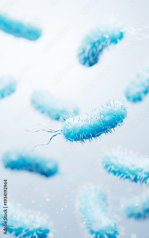 Fototapeta premium Microscopic biomedical bacteria structure, 3d rendering.