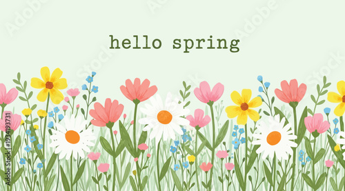 Hello spring colorful flowers illustration with text on light green background