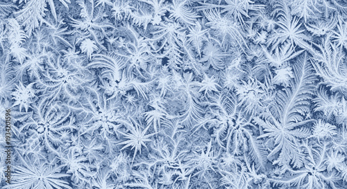 Close-up of intricate macro ice crystal frost patterns on glass forming a winter abstract background with delicate crystalline structures.