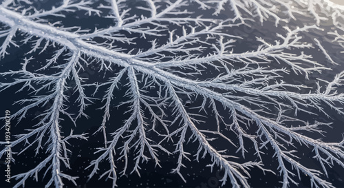 Close-up of a macro ice crystal frost pattern on glass, resembling a winter abstract background with intricate branching designs in shades of white and dark blue.