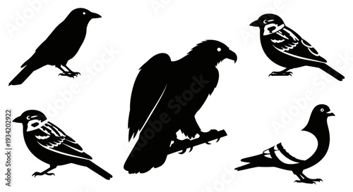 Bird silhouettes set. Collection of black graphic icons of various birds: crow, eagle, sparrow, pigeon.