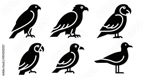 Bird Silhouettes Vector Icons Set: Diverse Avian Species Collection