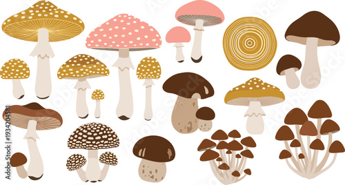 Cartoon mushroom vector collection with toadstool forest fungi boletus and fly agaric illustrations
