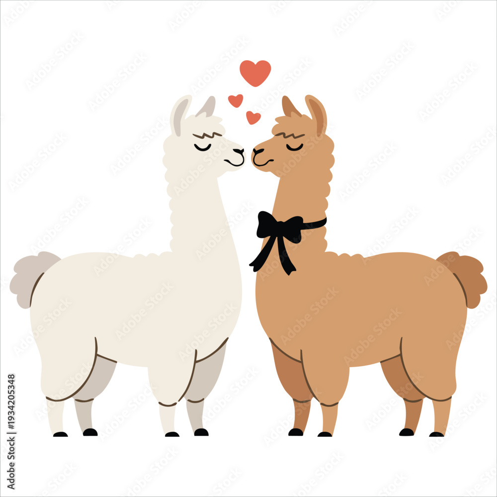 Fototapeta premium Llamas in love vector flat illustration colorful couple with floral wreath and bow tie