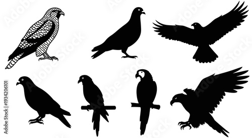 Bird Silhouettes Vector Set. Diverse Avian Illustrations Including Eagle, Hawk, Parrot, and Pigeon.
