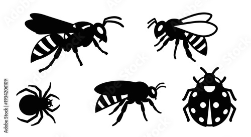 Black and white insect silhouettes set, featuring wasp, bee, spider, and ladybug vector collection