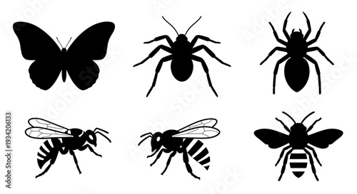 Black Insect and Arachnid Silhouettes Set: Butterfly, Spider, Bee, Ant, Wasp Icons