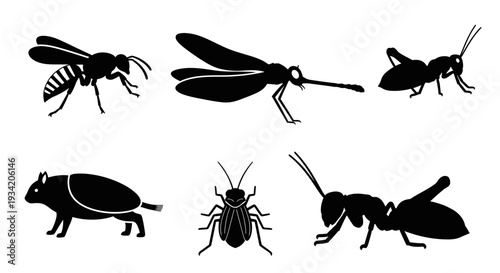 Black Silhouette Insect Collection: Wasp, Mosquito, Grasshopper, Beetle, Ant, and Cockroach Icons