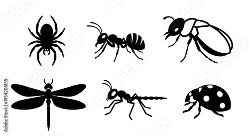 Black Insect Silhouettes Collection: Spider, Ant, Dragonfly, Ladybug