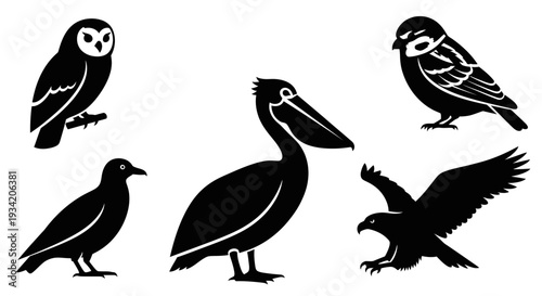 Collection of various bird silhouettes including owl, pelican, and eagle in black and white graphic style