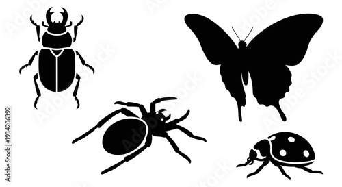 Collection of various insect and bug silhouettes: beetle, spider, butterfly, and ladybug