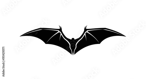 Silhouette of a Bat in Flight on White Background.
