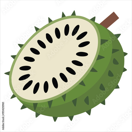 Vector illustration of soursop fruit isolated on white background