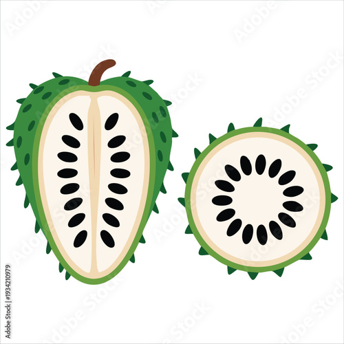 Vector illustration of graviola fruit for healthy food concept on white background