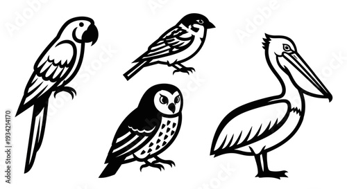 Diverse Bird Species Collection: Parrot, Sparrow, Owl, Pelican Line Art Illustration