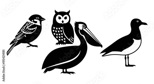 Diverse black and white bird silhouettes collection: owl, pelican, sparrow, and shorebird