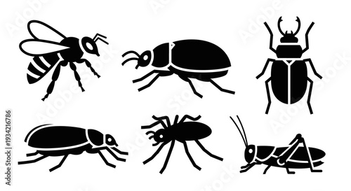 Diverse Insect Silhouettes Collection: Bee, Beetle, Spider, and Grasshopper Icons Set
