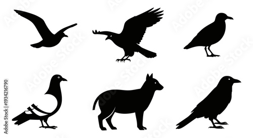 Diverse Black Animal and Bird Silhouettes Collection on White Background