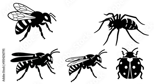 Diverse Insect Silhouettes Collection: Bee, Wasp, Spider, and Ladybug Vector Icons