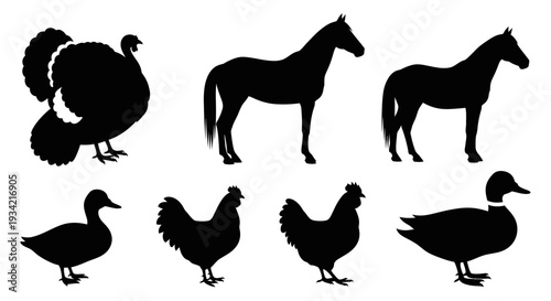 Farm Animal Silhouettes Collection: Turkey, Horses, Chickens, and Ducks Vector Set
