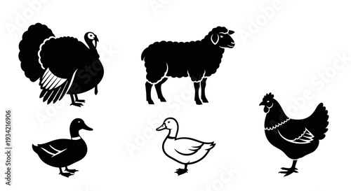 Farm Animals Silhouette Collection: Turkey, Sheep, Duck, and Chicken Vector Icons