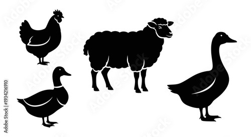 Farm Animals Silhouettes: Chicken, Sheep, Duck, and Goose Icons Set