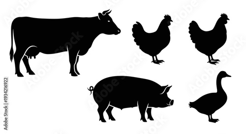 Farm Animals Silhouettes Collection: Cow, Pig, Chickens, Goose Icons on White Background
