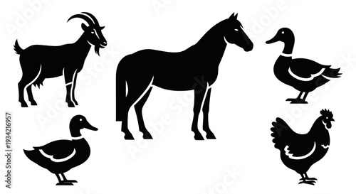 Farm Animals Silhouettes Collection: Goat, Horse, Ducks, and Chicken Vector Icons