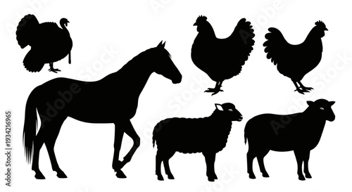 Farm Animals Silhouettes Collection: Horse, Sheep, Chicken, and Turkey Icons on White