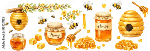 A charming watercolor collection of honey,  jars, beehives and bees for organic food branding.