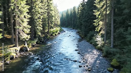 Serene Mountain River Flowing Through a Lush Green Forest with Sunlight Filtering Through the Trees.