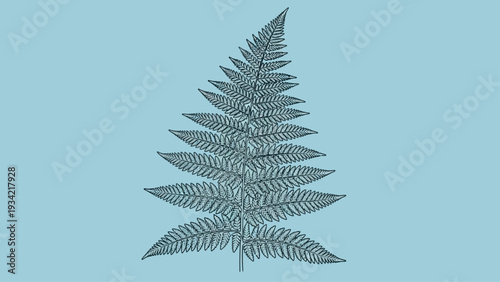 Elegant fern leaf illustration on a calming light blue background