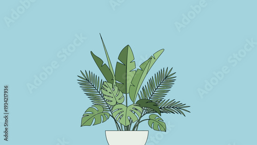 Tropical houseplant in a minimalist illustration on a blue background.