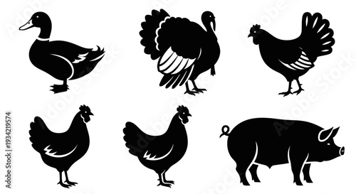 Farm Animals Silhouettes Set: Duck, Turkey, Rooster, Chickens, and Pig Icons