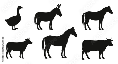 Farm Animals Silhouettes Set: Goose, Donkey, Horses, and Cows Vector Collection