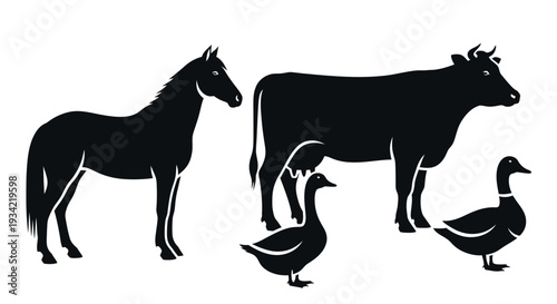 Farm Animals Silhouettes Set: Horse, Cow, and Ducks Vector Illustration
