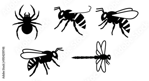 Insect and Arachnid Silhouettes Collection: Spider, Bees, Wasp, and Dragonfly Icons