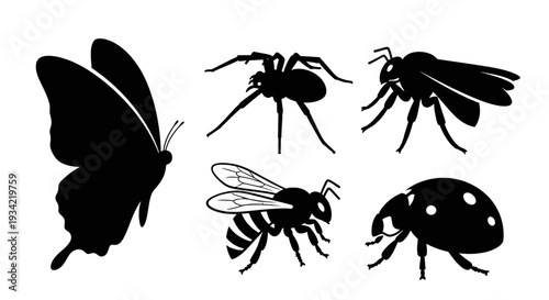 Insect and Arachnid Silhouettes Collection: Butterfly, Spider, Bee, Wasp, Ladybug