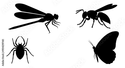 Insect and Arachnid Silhouettes Collection: Dragonfly, Wasp, Spider, Butterfly