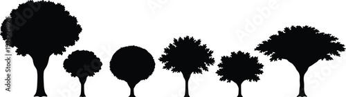 Set of diverse black tree silhouettes including tall oak maple and deciduous forest plant shapes for landscape design and nature vector.