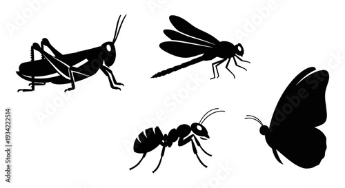 Insect Silhouettes Collection: Grasshopper, Dragonfly, Ant, and Butterfly Set