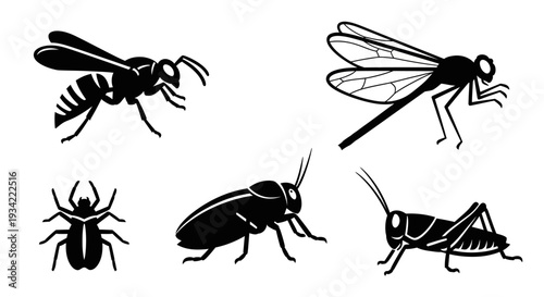 Insect Silhouettes Collection: Wasp, Dragonfly, Spider, Cockroach, and Grasshopper Icons