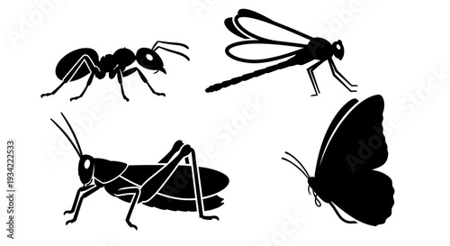 Insect Silhouettes Set: Ant, Dragonfly, Grasshopper, Butterfly Icons