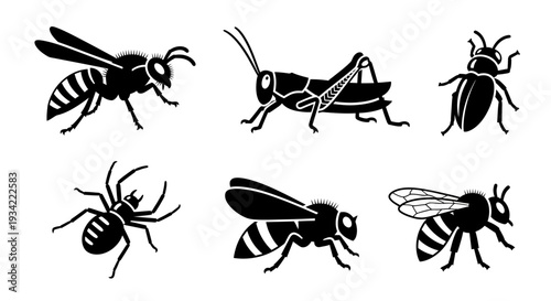 Insect Silhouettes Set: Wasp, Grasshopper, Beetle, Spider, and Bees Icons