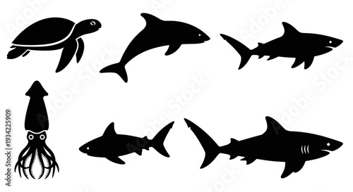 Marine Animals Silhouettes Collection: Turtle, Dolphin, Squid, and Sharks